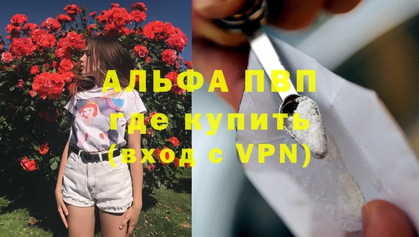 Альфа ПВП Вяземский